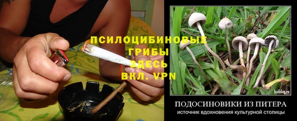 крисы Балахна
