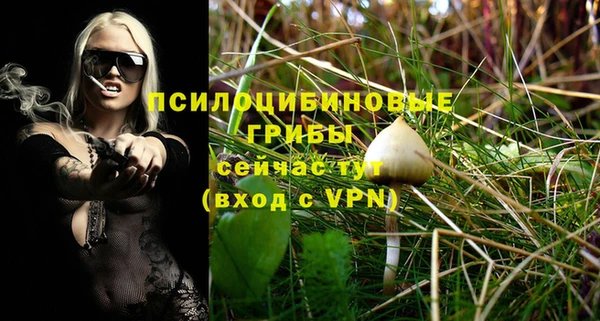 крисы Балахна