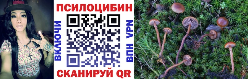 купить наркотики сайты Калининец Галлюциногенные грибы прущие грибы