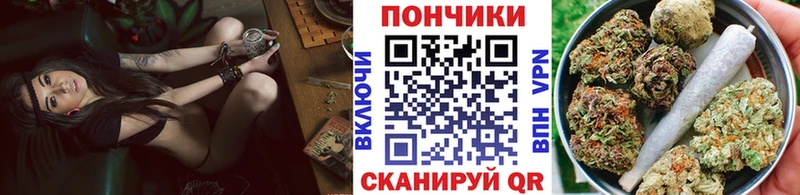 цены   Калининец  Марихуана семена 